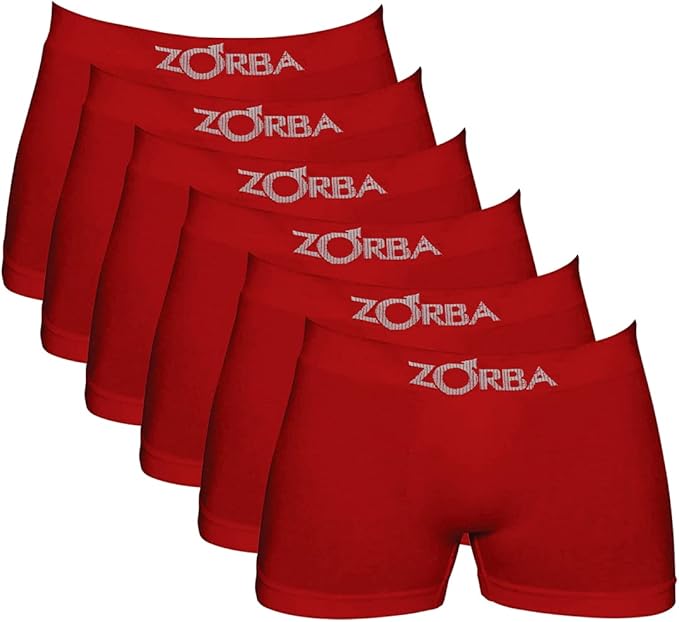 Kit 30 Cuecas Microfibra Sem Costura Original + Brinde 15 Pares de Meia